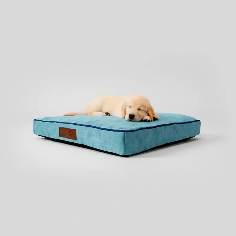 Cama Extendida Color Azul Cielo Para Perro, Grande Azul Acero Rectangular