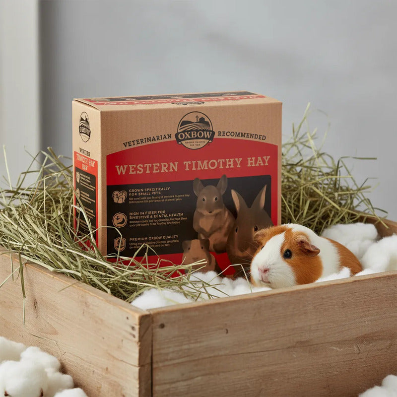 Oxbow Caja Heno Timothy Para Pequeñas Mascotas, 4 Kg