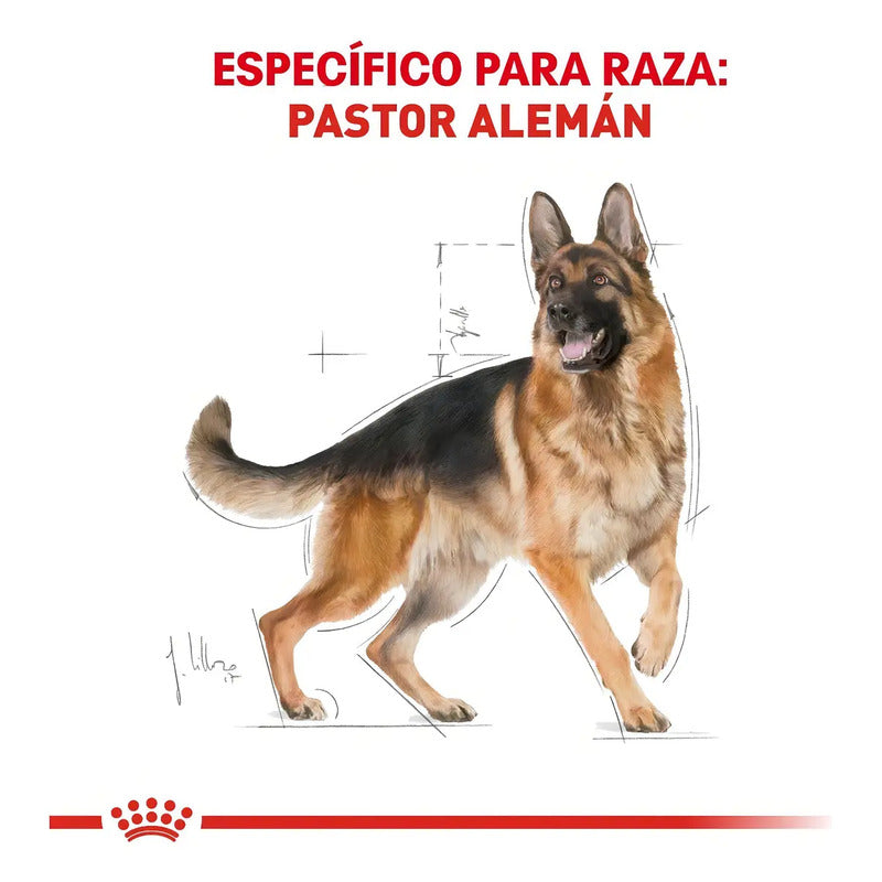 Royal Canin German Sheperd 13.6kg