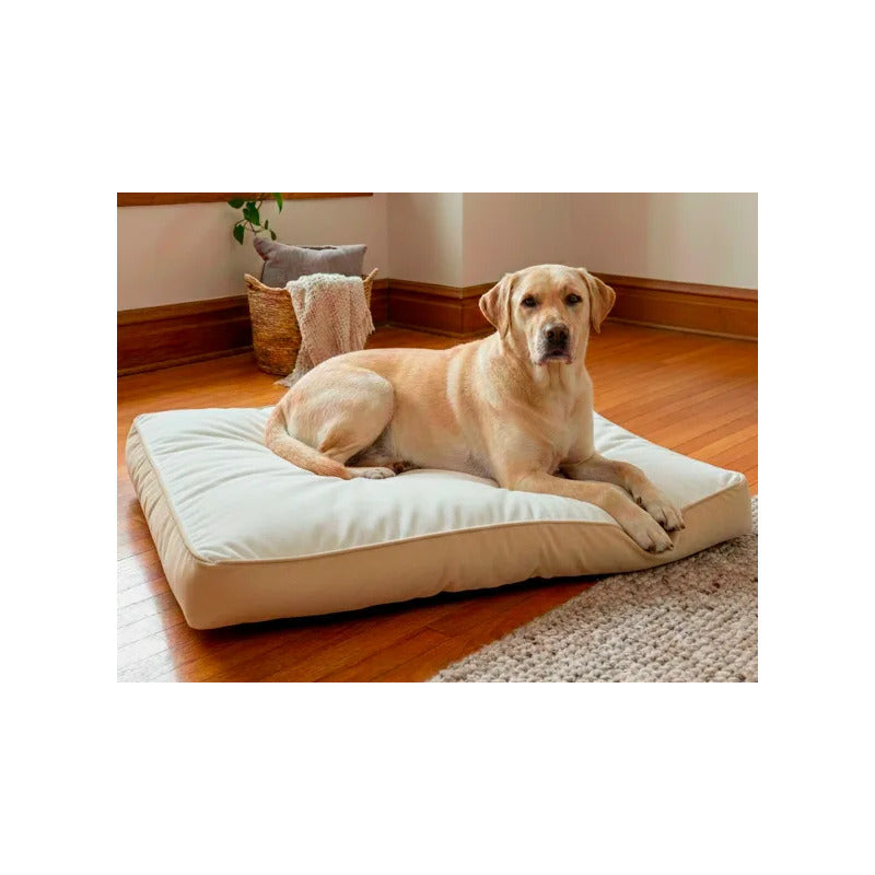 Cama Rectangular Extendida Color Café Para Perro, Grande Marrón Claro Cuadrado