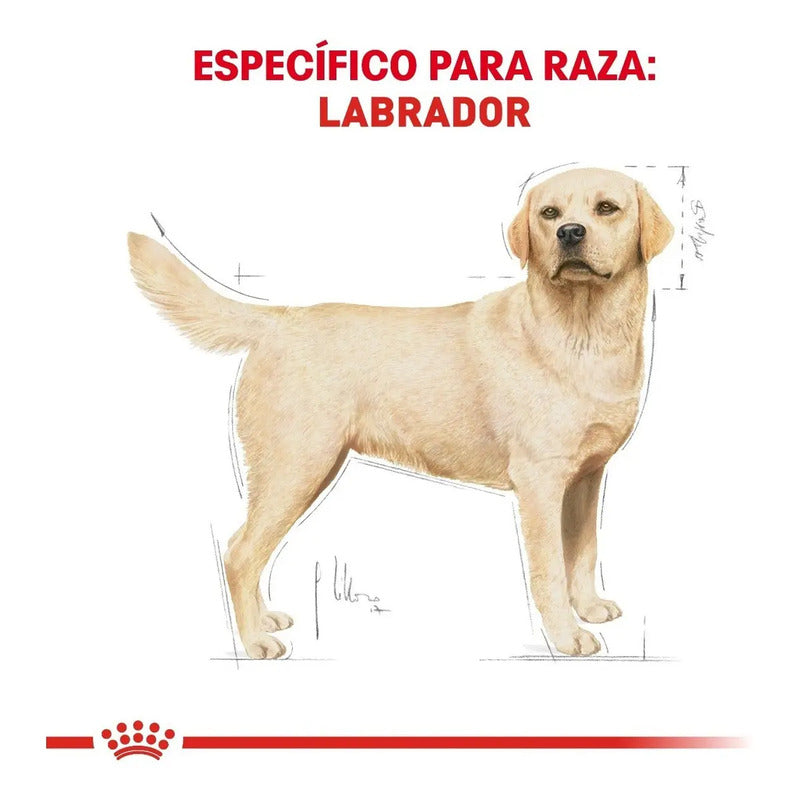 Royal Canin Labrador 13.6 Kg Sellado