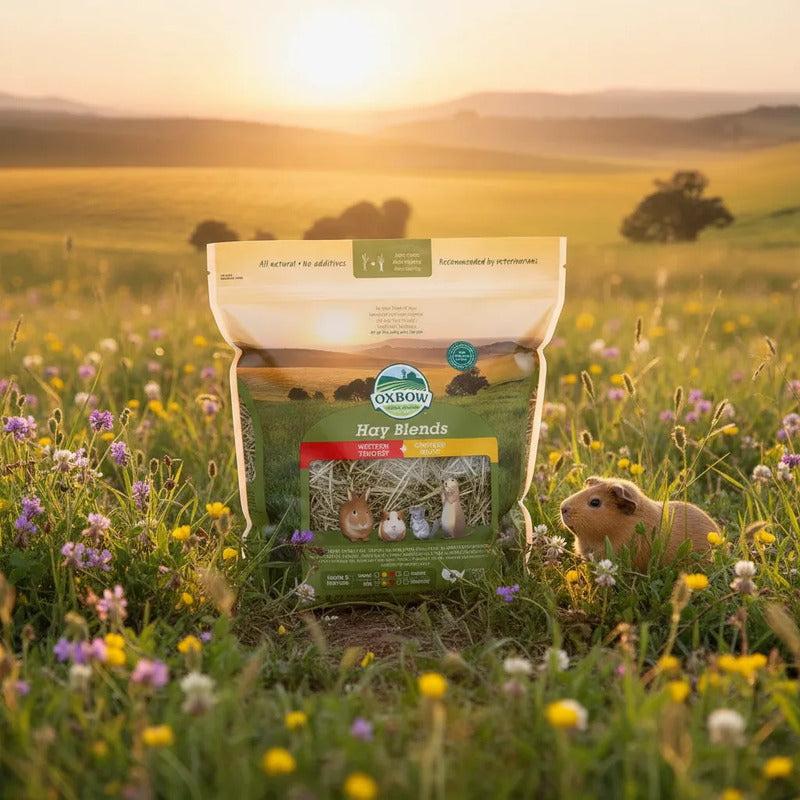 Mezcla De Orchard Y Timothy Para Pequeños Mascotas, 1.1 Kg