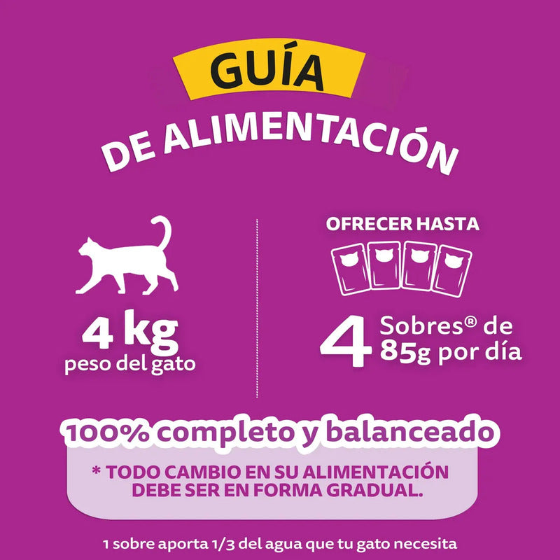 Pack X24 Alimento Húmedo Whiskas Gatos Fillets Res 85g C/u