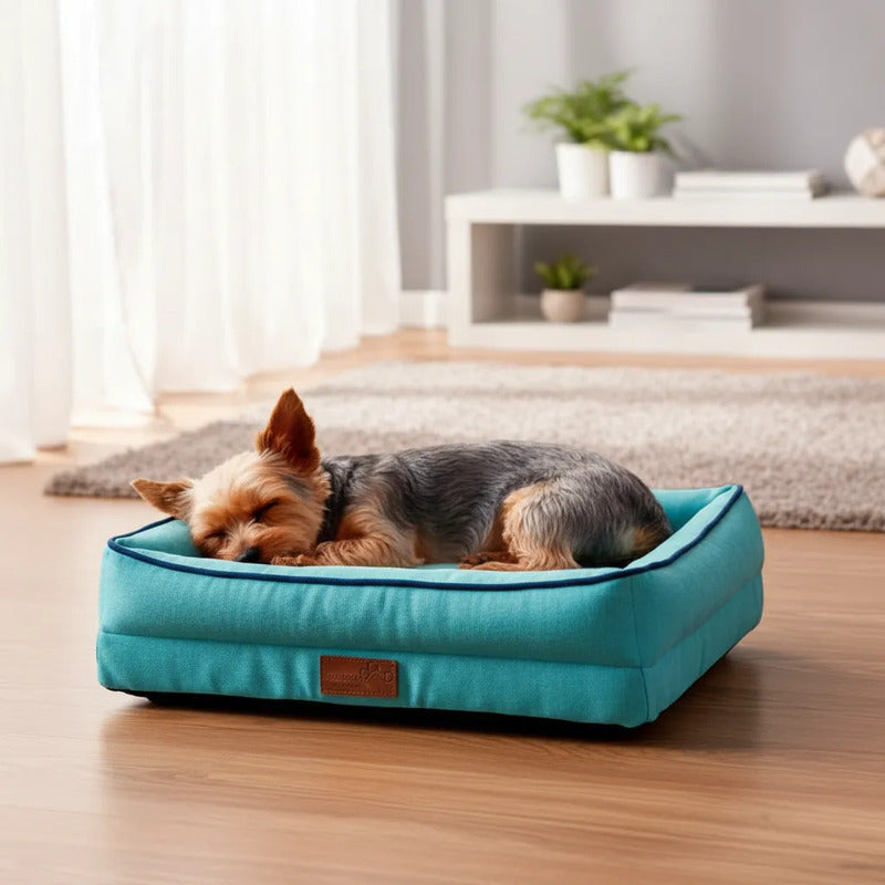 Cama Con Bordes Color Turquesa Para Perro, X-chico Turquesa Rectangular