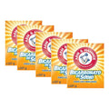 Bicarbonato De Sodio Arm & Hammer 227g (5pzas)