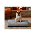 Cama Rectangular Extendida Color Gris Para Perro, Mediano Gris Rectangular