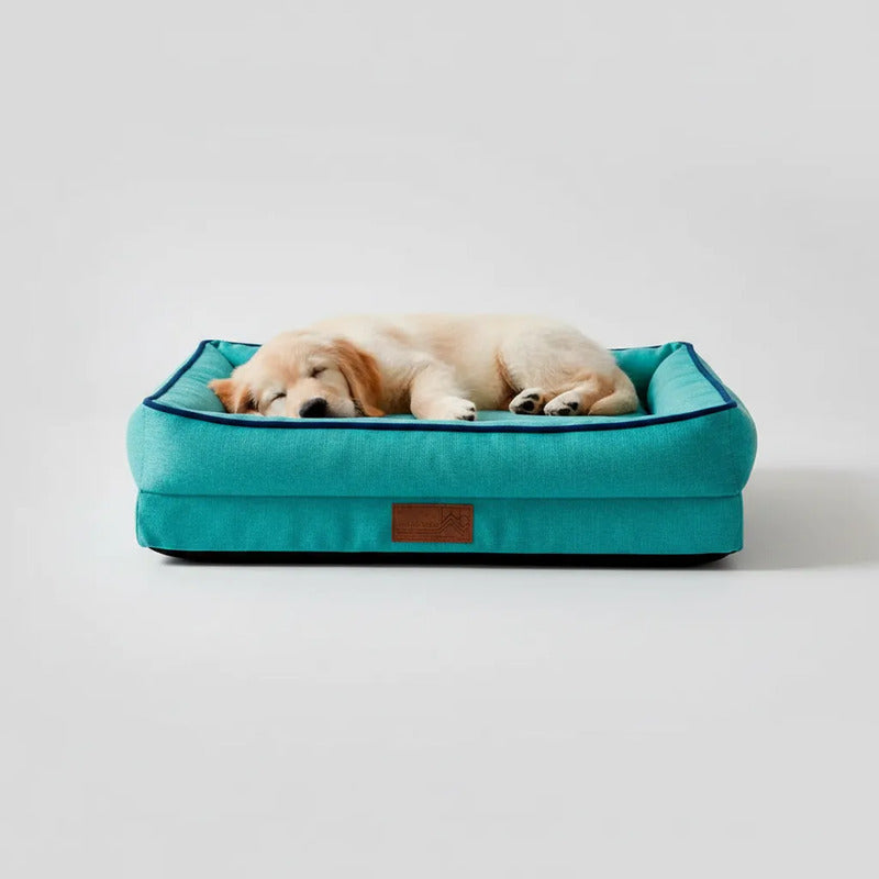 Cama Rectangular Con Bordes Color Turquesa Para Perro, Chico Turquesa Rectangular