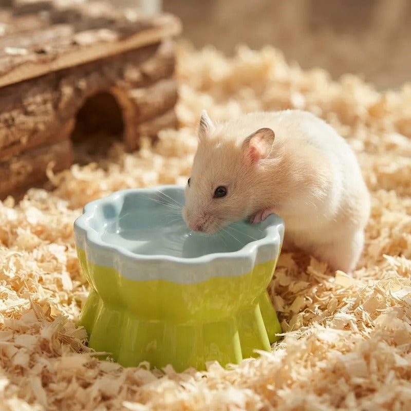 Comedero En Forma De Dulce Para Pequeños Mamíferos, 1 Pieza Verde Claro