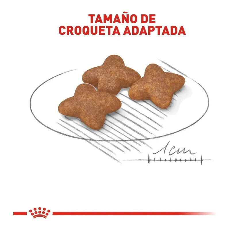 Royal Canin Adulto Raza Pequeña, 6.36kg