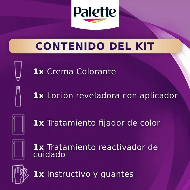 Tinte Color Creme Negro 1-0 Palette 1-0 Negro