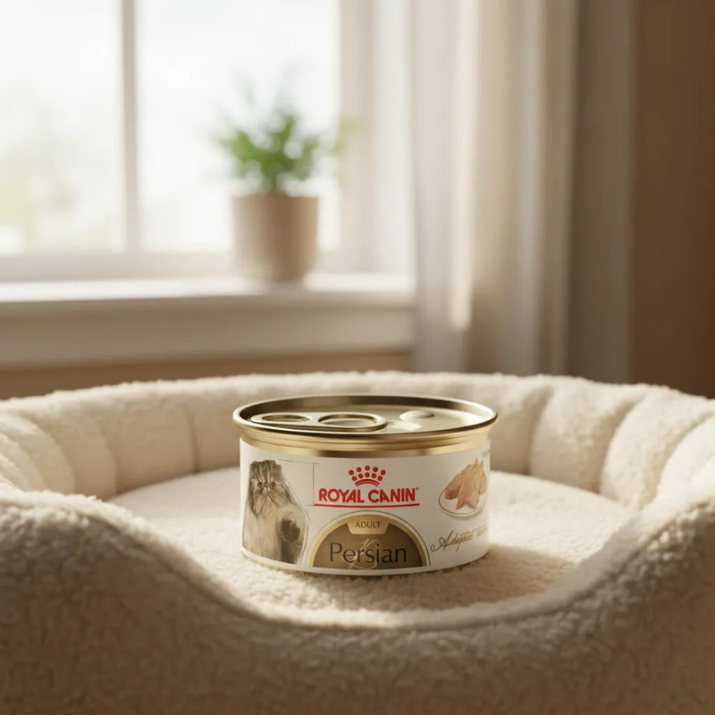 Alimento Royal Canin Humedo Para Gato Persa 85g (6piezas)