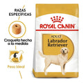 Royal Canin Labrador 13.6 Kg Sellado