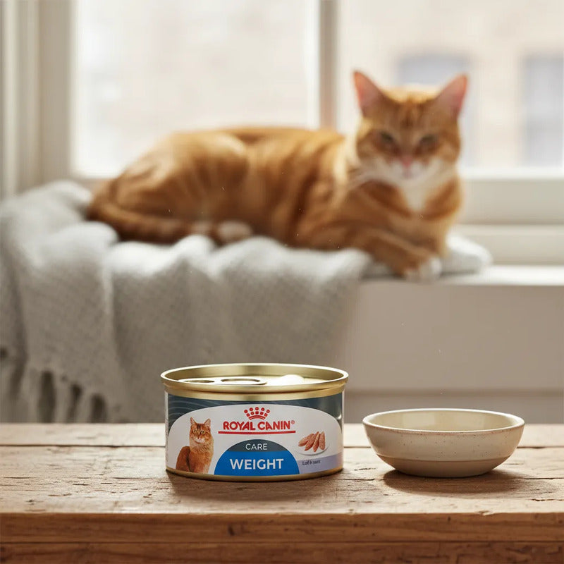 Alimento Húmedo Para Gato Adulto Receta Pollo, 145 G