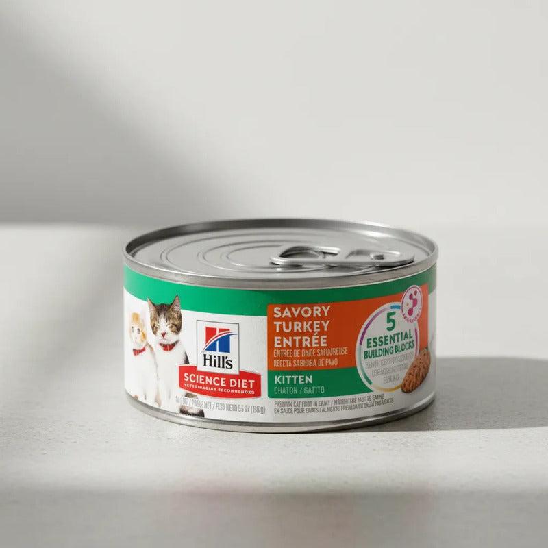 Alimento Húmedo Para Gatito Receta Pavo, 156 G