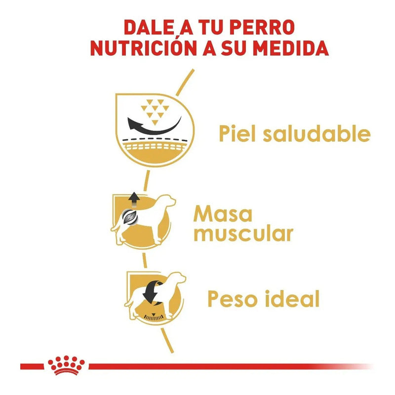 Royal Canin Pug Adult 4.53 Kg Sellado