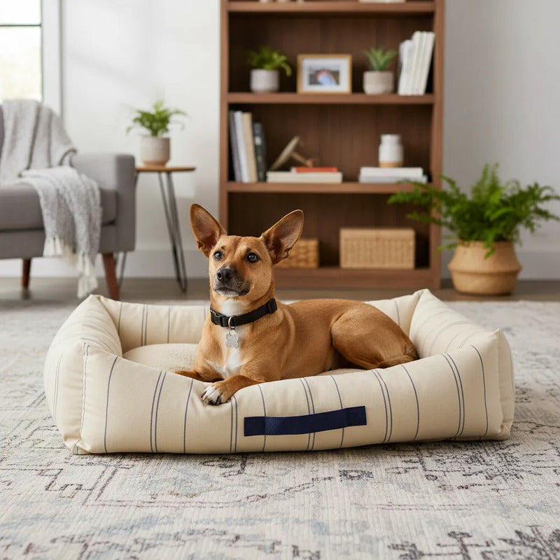 Cama Con Asa Con Bordes Color Crema Para Perro, Mediano Beige Rectangular