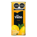 Néctar Del Valle Sabor Mango 200ml (12pzs)