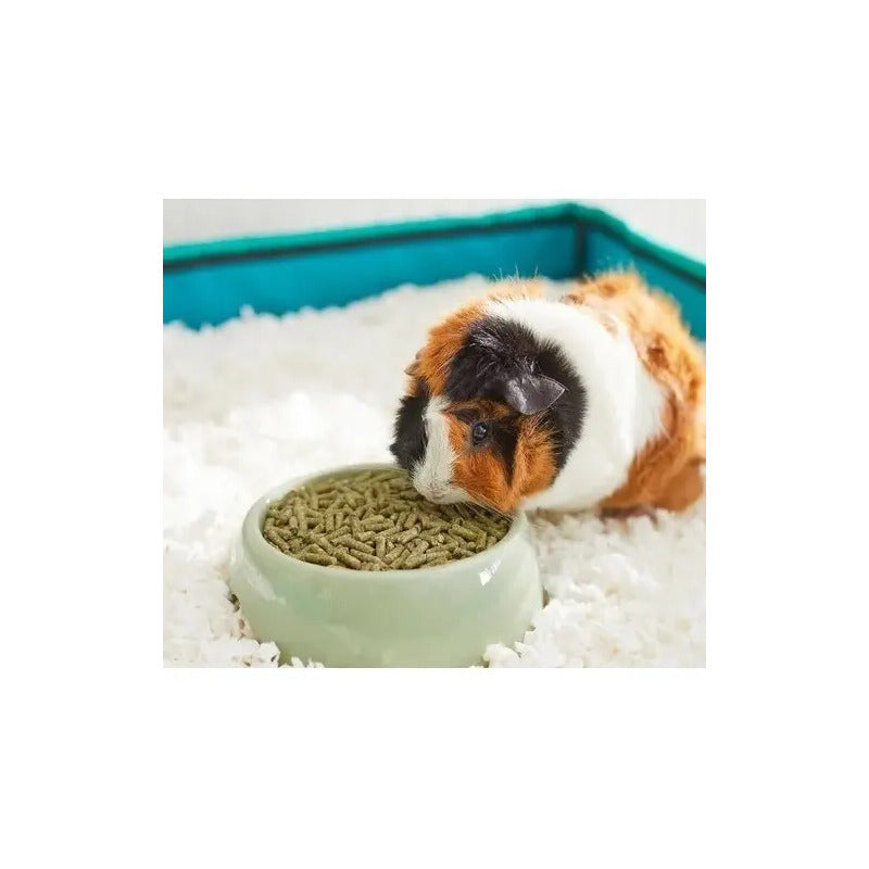 Alimento Para Cuyos Mazuri Guinea Pig Diet 1.3 Kg
