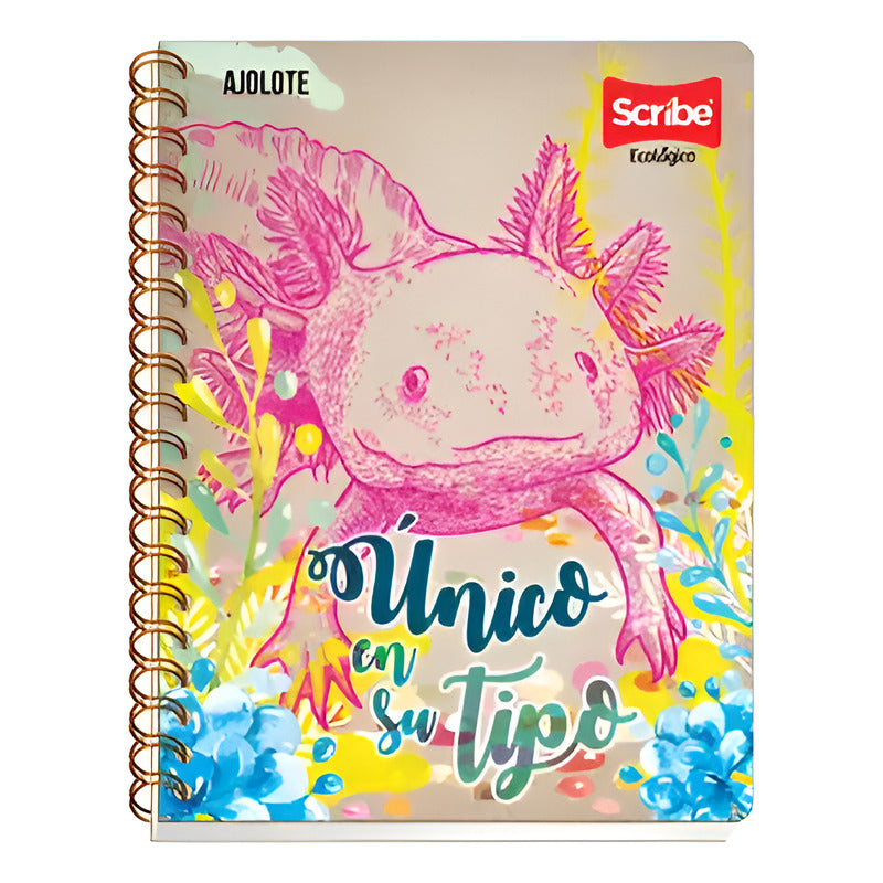 Cuad Prof Scribe Espiral Doble Ecológic Raya 100hoja (4pzs) Multicolor