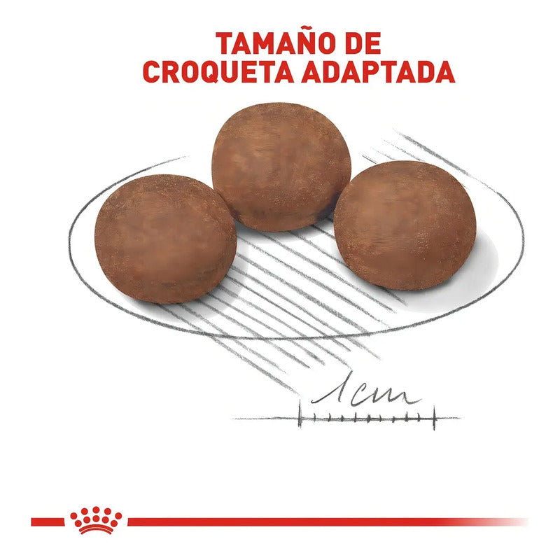 Royal Canin Medium Puppy 13.6 Kg Sellado