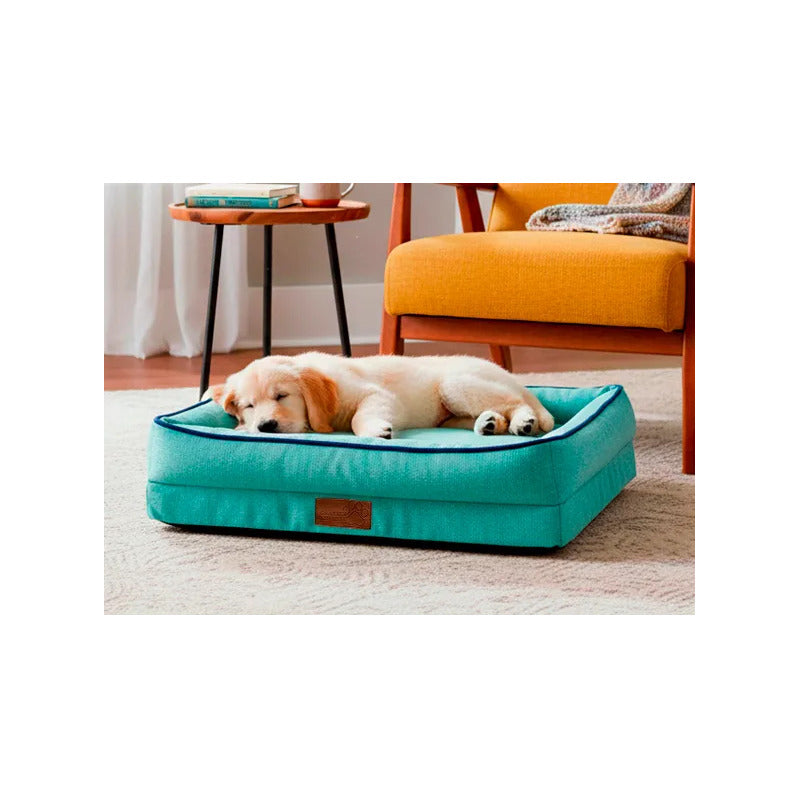 Cama Rectangular Con Bordes Color Turquesa Para Perro, Chico Turquesa Rectangular