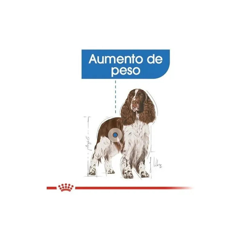 Royal Canin Medium Weight Care 13.6 Kg