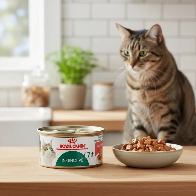 Royal Canin Instinctive 7+ Alimento Húmedo Gato Senior, 85 G