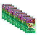 Alimento Para Perro Dog Chow Carne Pollo Salmón 9 Pz De 85g