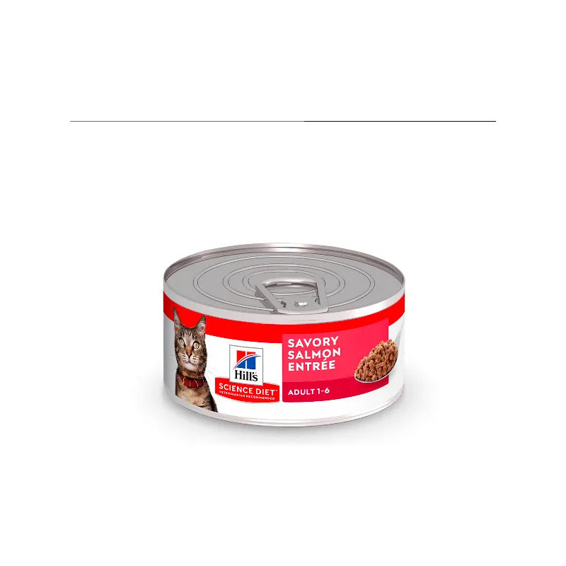 Alimento Húmedo Para Gato Adulto Receta Salmón, 156 G