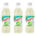 Agua Peñafiel Adas Ligera Sabor Limonada 24 Pzas De 600ml