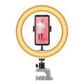 Aro De Luz Led Para Selfie Blanco