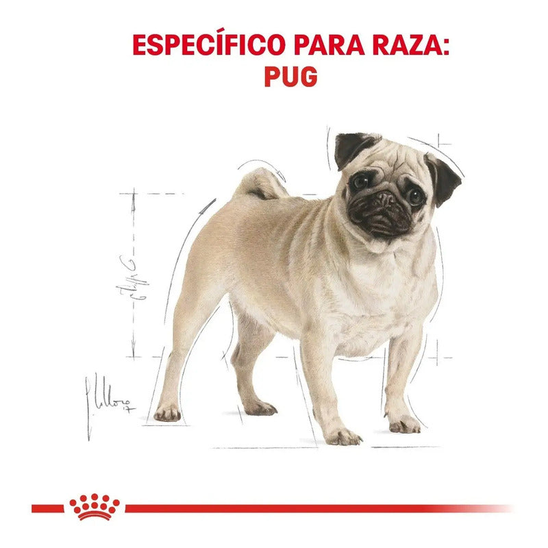 Royal Canin Pug Adult 4.53 Kg Sellado