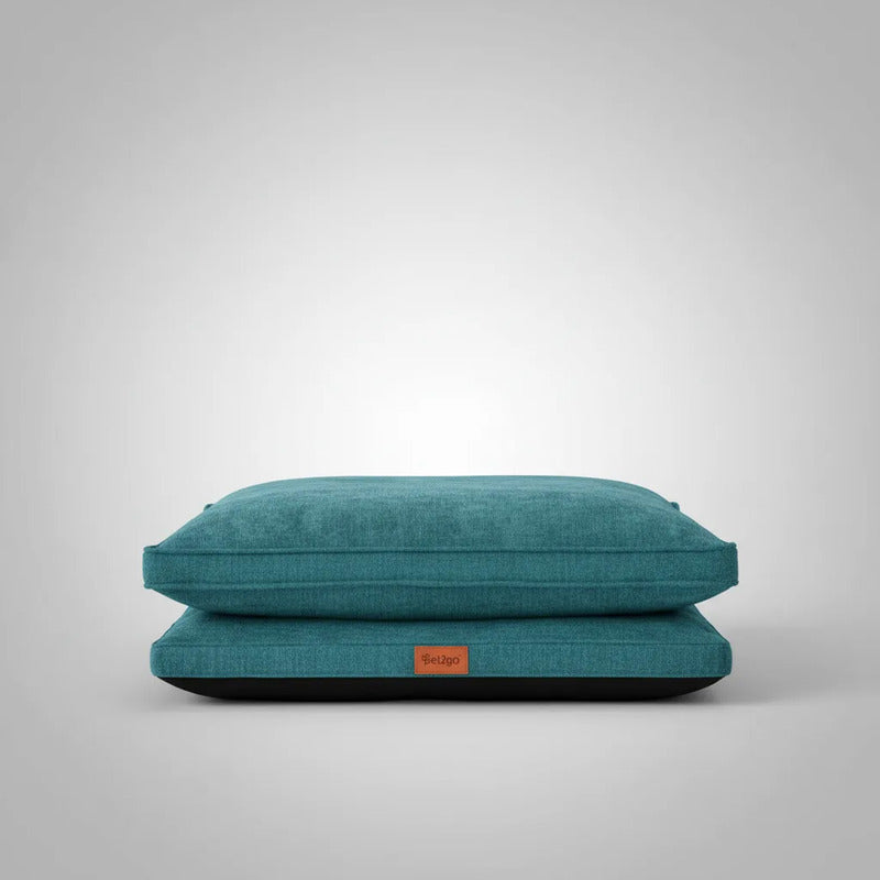 Cama Rectangular Extendida Color Turquesa Para Perro Mediano Azul Rectangular