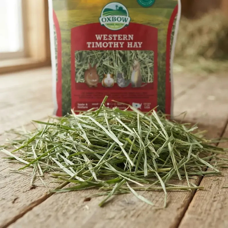 Oxbow Heno Timothy Para Pequeños Mascotas, 425g