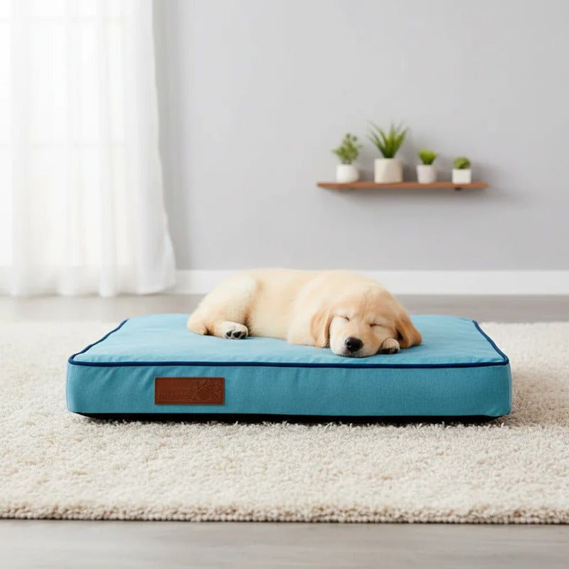Cama Extendida Color Azul Cielo Para Perro, Grande Azul Acero Rectangular