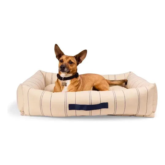 Cama Con Asa Con Bordes Color Crema Para Perro, Mediano Beige Rectangular