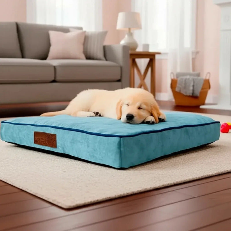 Cama Extendida Color Azul Cielo Para Perro, Grande Azul Acero Rectangular