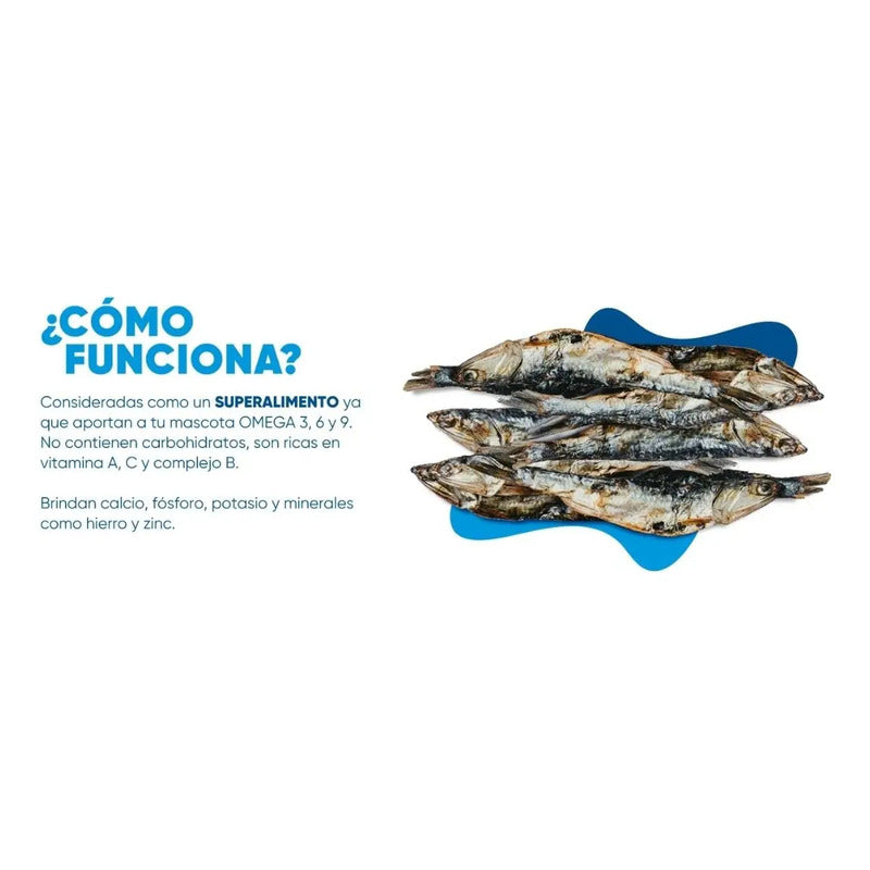 Premio Para Perros Y Gatos, Anchovetas 80 Gr, Bleiz Raw Food