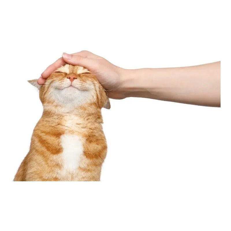 Alimento Pro Plan Optiprebio. Para Gato Adulto De Raza Mediana Sabor Salmón De 85 G