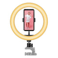 Aro De Luz Led Para Selfie De Steren, Negro