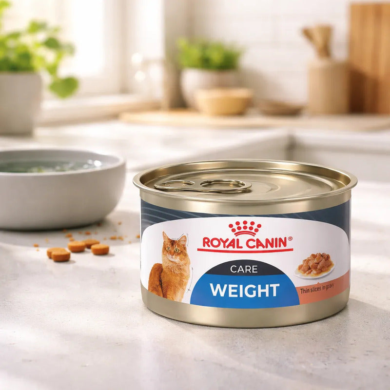 Royal Canin Weigh Care Felino Slices In Gravy 145g (6piezas)