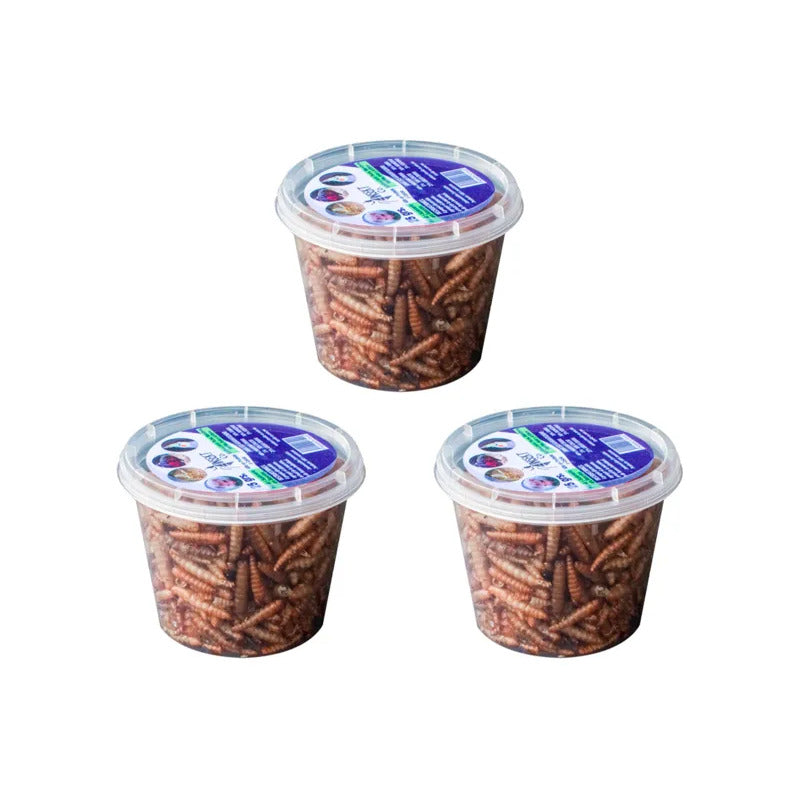 Alimento Para Reptil Mosca Soldado Deshidratada 3 Paq De 25g