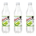 Agua Mineral Peñafiel Twist Toque Sal Y Limón 12 Pz De 600ml