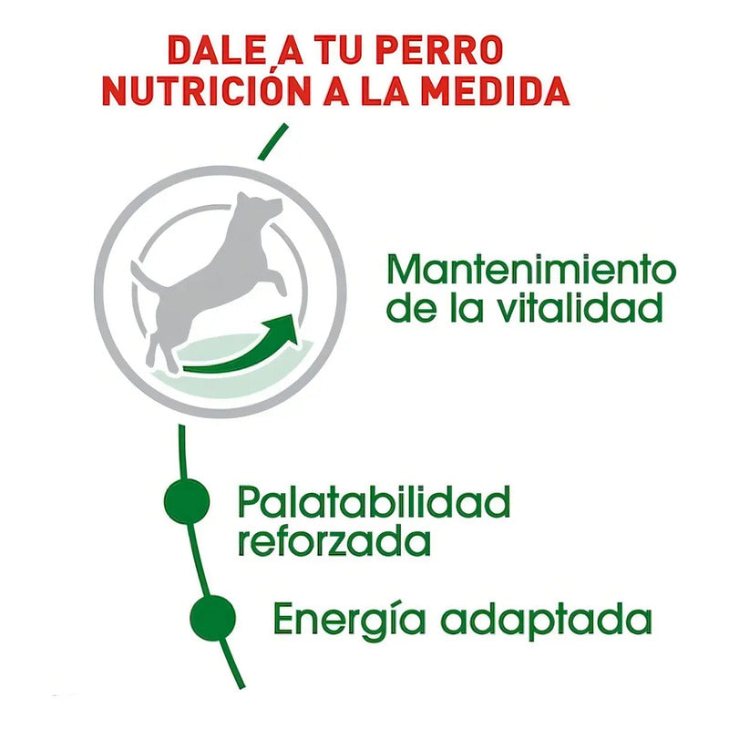 Alimento Para Perro Royal Canin Small Mature+8 De 1.1kg