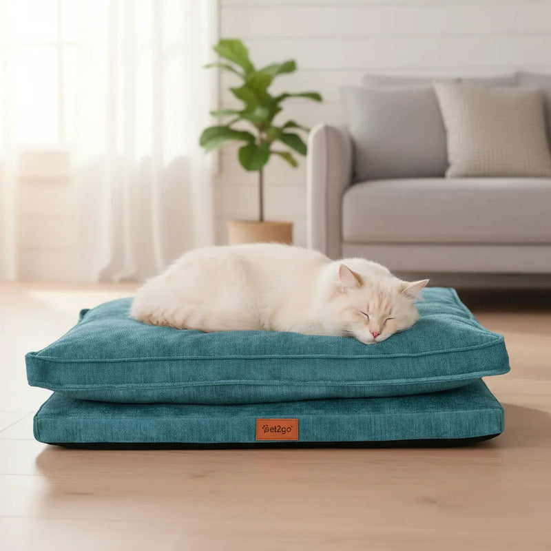 Cama Rectangular Extendida Color Turquesa Para Perro Mediano Azul Rectangular