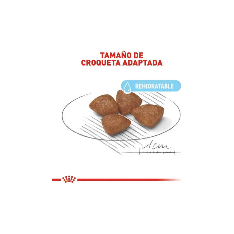 Royal Canin Small Starter Mother And Babydog 1.14 Kg