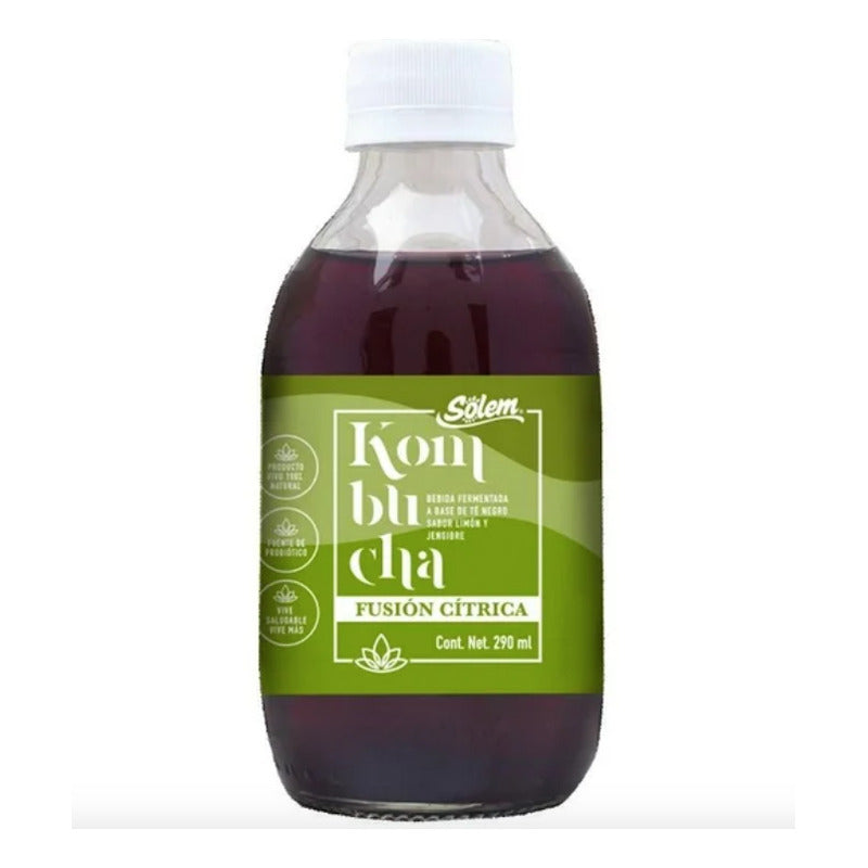 Bebida Kombucha Sólem Sabor Limón Y Jengibre 6 Pzas De 290ml