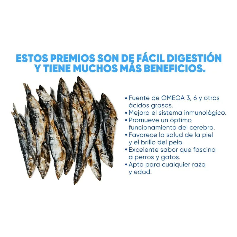 Premio Para Perros Y Gatos, Anchovetas 80 Gr, Bleiz Raw Food