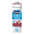 Jugo De Arandano Light 1l (2piezas)