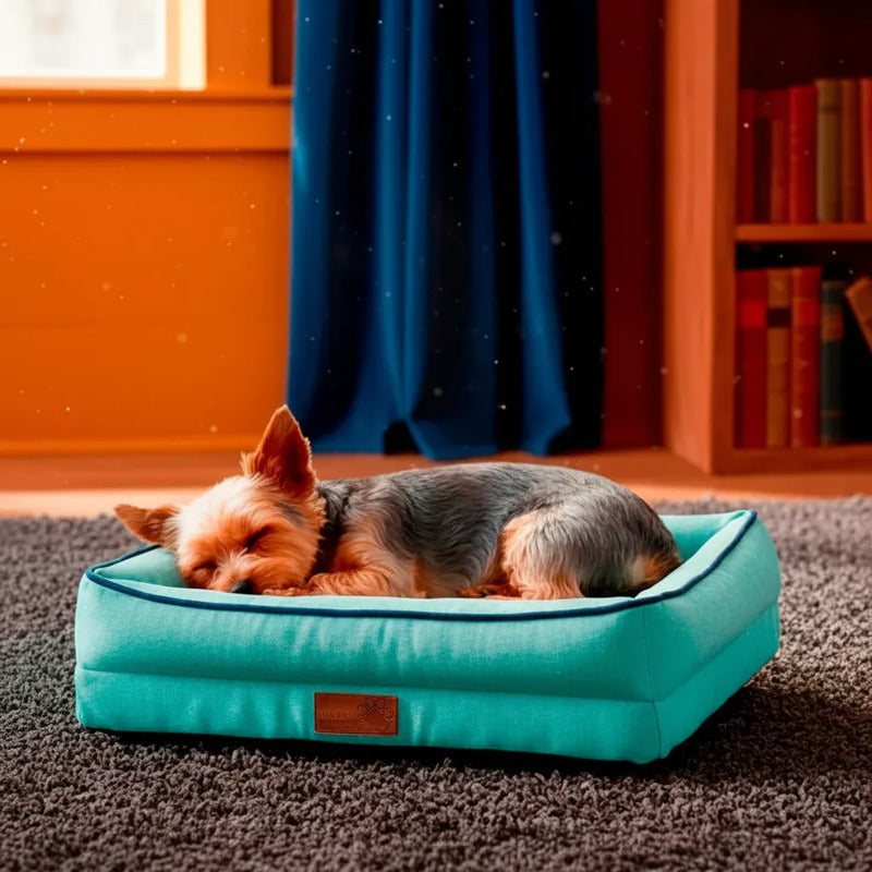 Cama Con Bordes Color Turquesa Para Perro, X-chico Turquesa Rectangular